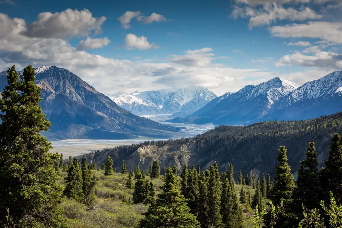 Paved open highway stretching towards towering rocky mountains under bright sunny skies